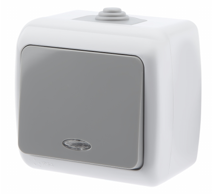 5-102-03 Intro Выключатель с подсветкой, 10А-250В, IP54, ОУ, Atlantic, серый